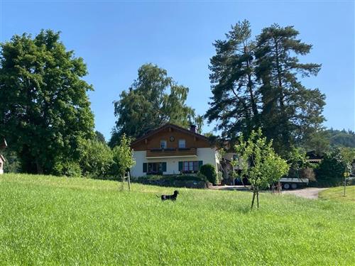 Semesterlägenhet - 4 personer -  - Gastag - 83329 - Waging Am See