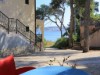 Bilde 26