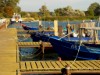 Billede 8