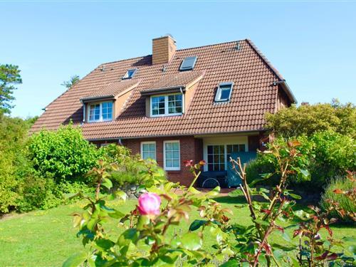 Ferieleilighet - 4 personer -  - Ginsterweg - 25938 - Wyk Auf Föhr