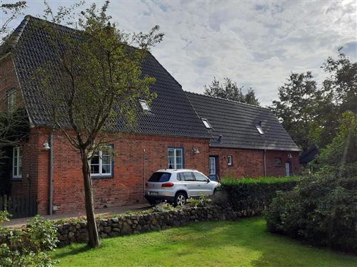 Semesterlägenhet - 2 personer -  - Babendörpstieg - 25938 - Nieblum