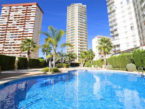 Holiday apartment - 4 persons -  - Calpe/Calp - 03710