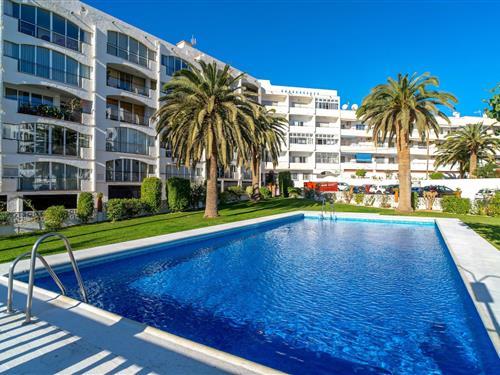 Holiday apartment - 4 persons -  - 29780 - Nerja