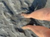 Bild 33