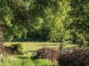 Billede 58