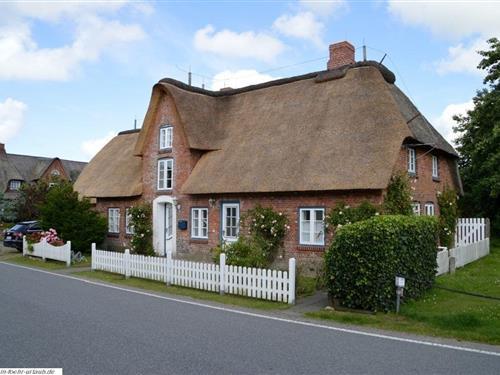 Semesterhus/Semesterlägenhet - 6 personer -  - Haus - 25938 - Oldsum