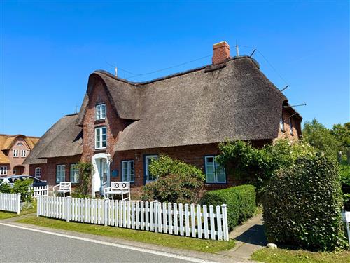 Sommerhus - 6 personer -  - Haus - 25938 - Oldsum