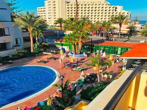 Sommerhus - 4 personer -  - Teneriffa - 38660 - Las Americas