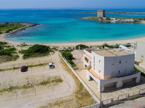 Ferielejlighed - 3 personer -  - Via Strada dei Bacini s.n.c. - 73010 - Porto Cesareo