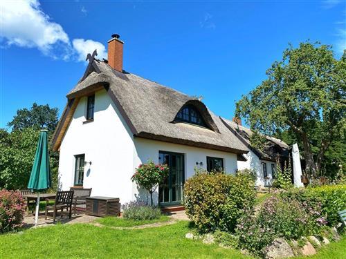 Holiday home - 5 persons -  - Groß Stresow - 18581 - Putbus