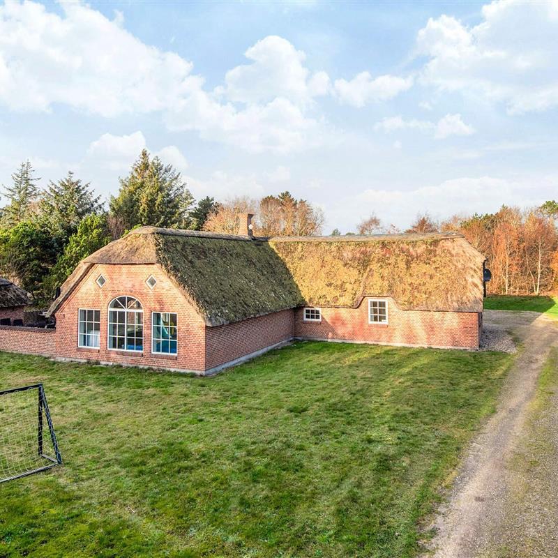 Sommerhus - 14 personer -  - Vester Mosevej - Vedersø Klit - 6990 - Ulfborg