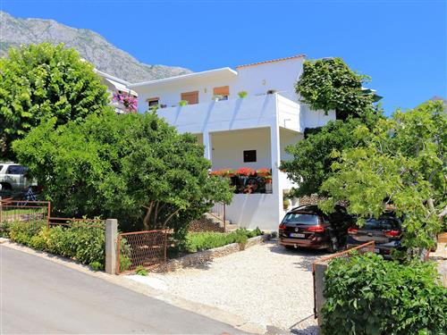 Ferielejlighed - 2 personer -  - Živogošce - Blato br. - 21329 - Živogošce - Blato