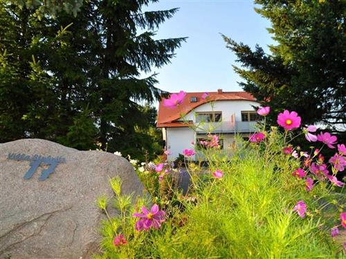 Holiday apartment - 5 persons -  - Stubbenkammerstraße - 18551 - Lohme / Hagen