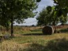 Bild 84