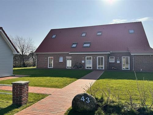 Ferienhaus - 7 Personen -  - 26465 - Langeoog