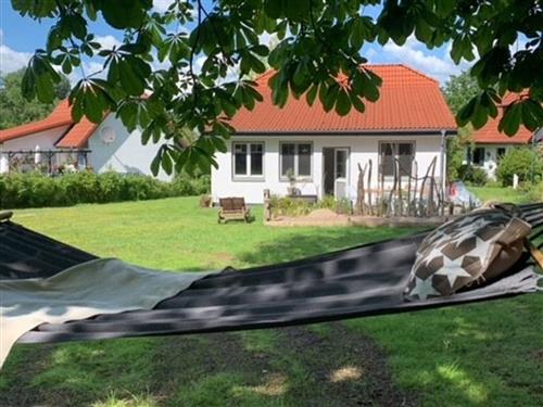 Ferienhaus - 6 Personen -  - Hegeholz - 24392 - Boren / Lindau