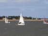 Billede 40