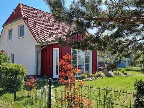 Sommerhus - 6 personer -  - Boddenblick - 18356 - Fuhlendorf - Ostsee