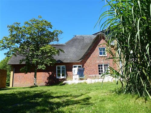 Ferienhaus - 4 Personen -  - Drift - 25826 - St. Peter-Ording