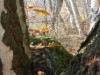 Bild 17