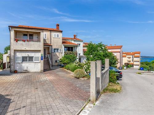 Ferieleilighet - 2 personer -  - Kascuni Ulica - Pula-Stinjan - 52100 - Pula