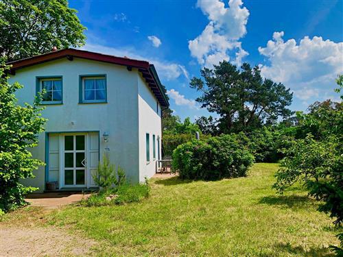 Feriehus - 2 personer -  - Seestraße 29 A - 17429 - Bansin (Seebad)