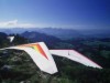 Billede 32