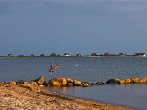 Feriehus - 4 personer -  - 23774 - Heiligenhafen