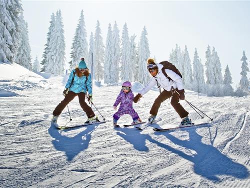 Holiday apartment - 6 persons -  - 74360 - La Chapelle D'abondance