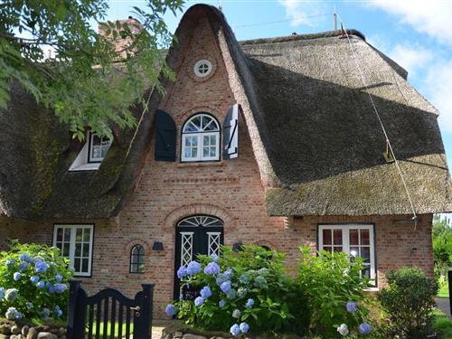 Sommerhus - 5 personer -  - Nösistich - 25980 - Sylt / Morsum