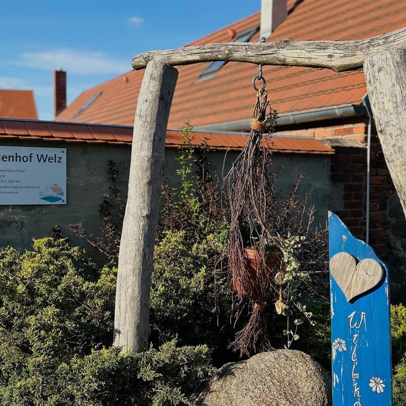 Bondegård - 4 personer -  - Lindenstraße - 03103 - Neupetershain