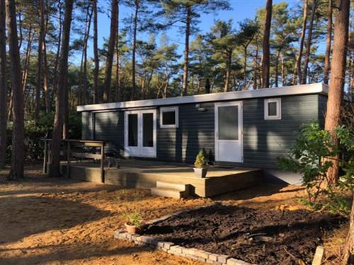 Chalet - 4 personer -  - 2275 - Wechelderzande (Lille)