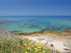 Bild 13