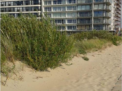 Sommerhus - 4 personer -  - 8670 - Koksijde