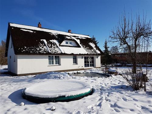 Holiday Home/Apartment - 2 persons -  - Streuer Weg - 18569 - Schaprode