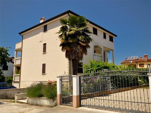 Semesterlägenhet - 4 personer -  - Novigrad (Istra) - 52466