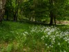 Bild 44 - Aussen