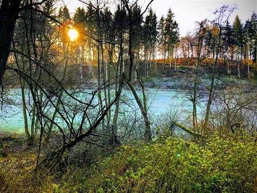 Ferienwohnung - 3 Personen -  - Schnellbach - 56290 - Uhler