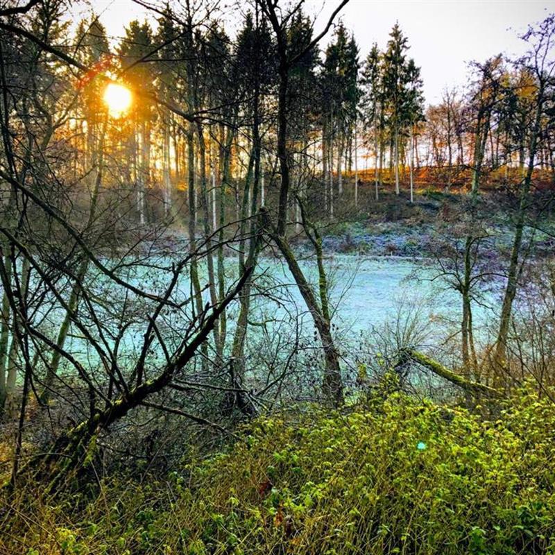 Ferielejlighed - 3 personer -  - Schnellbach - 56290 - Uhler