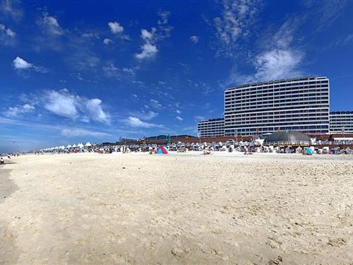 Ferieleilighet - 2 personer -  - Andreas-Dirks-Straße 2-4 Whg. - 25980 - Westerland