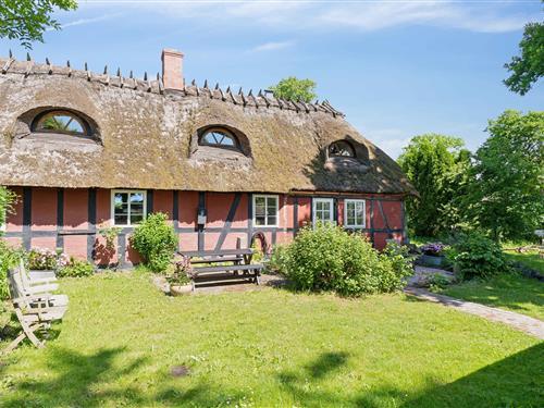 Sommerhus - 4 personer -  - Assensvej - 5642 - Millinge