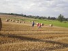 Image 23