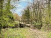 Image 15