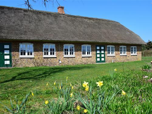 Sommerhus - 10 personer -  - Vedersø Klitvej - Vedersø Klit - 6990 - Ulfborg