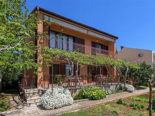 Ferielejlighed - 3 personer -  - Ruže Petrovic - 52212 - Fazana