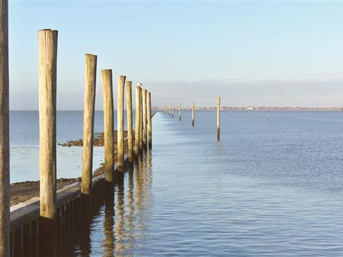 Ferielejlighed - 2 personer -  - Störtebekerstr. - 26553 - Dornum