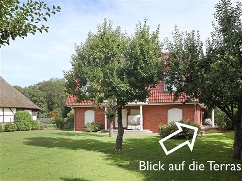 Ferielejlighed - 2 personer -  - Dünenweg - 23946 - Boltenhagen