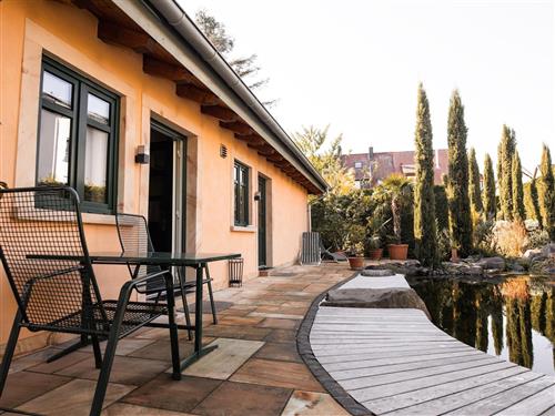 Ferielejlighed - 3 personer -  - Hauptstr. - 67271 - Kindenheim