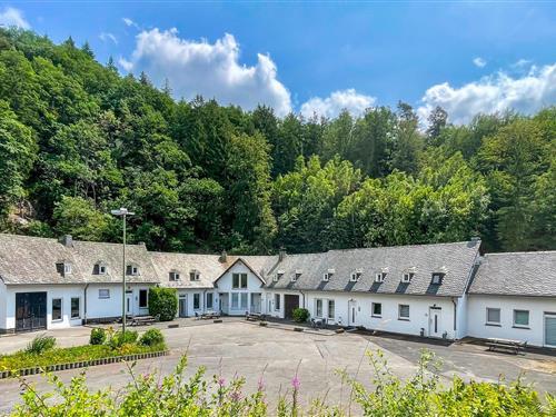 Feriehus / leilighet - 4 personer -  - Rosenthal - Monschau - Eifel - 52156 - Monschau