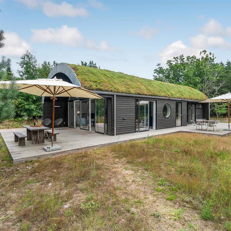 Sommerhus - 6 personer -  - Fyrrehaven - Ellinge Lyng - 4560 - Vig
